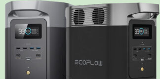 EcoFlow Delta 2 - Portable Power Station