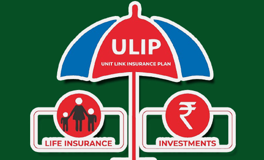 Unit Linked Insurance Plan