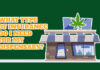 How To Insure A Cannabis Business