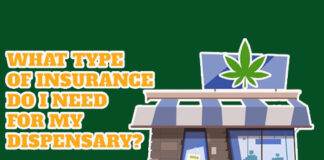 How To Insure A Cannabis Business