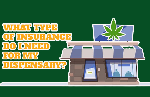 How To Insure A Cannabis Business