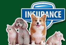 Life Insurance for Dogs